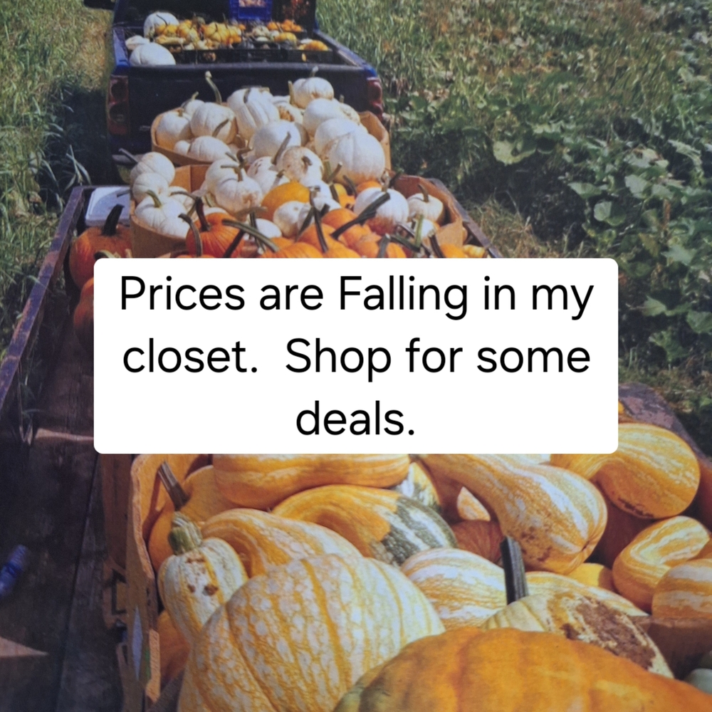 Assorted Decorative Pumpkins and Gourds